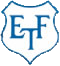 home team logo