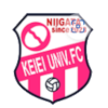 home team logo