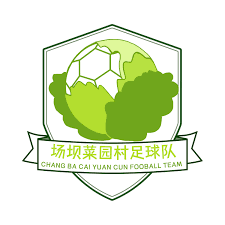 home team logo