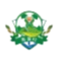 home team logo