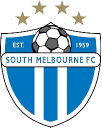 home team logo