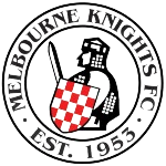 home team logo