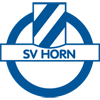 home team logo