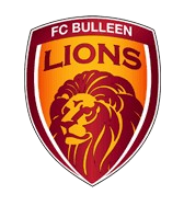 home team logo