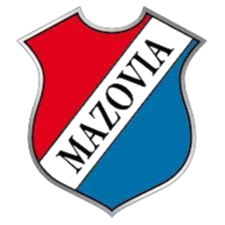home team logo