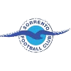 home team logo