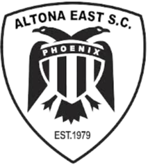 home team logo
