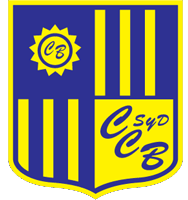 home team logo