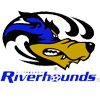 home team logo