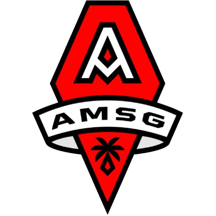 home team logo