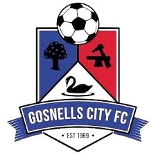 away team logo