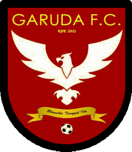 home team logo