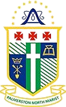 home team logo