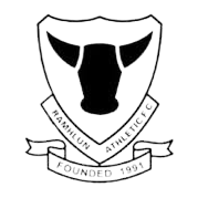 home team logo