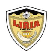 home team logo
