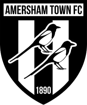 home team logo