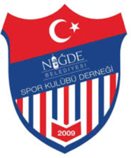 home team logo