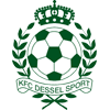 home team logo
