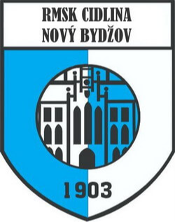 home team logo