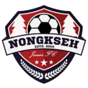 home team logo