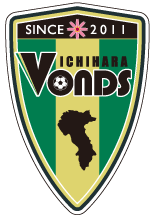 home team logo