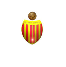 home team logo
