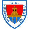 home team logo