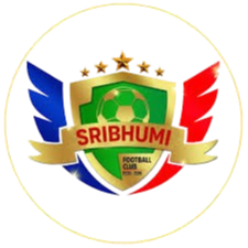 home team logo
