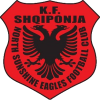 home team logo