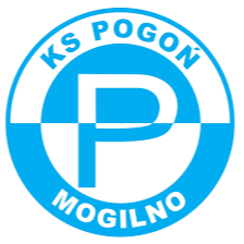 home team logo