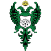 home team logo