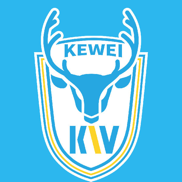 home team logo