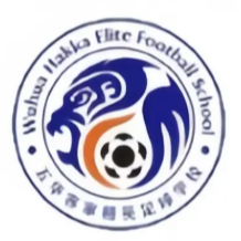 away team logo