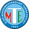 home team logo