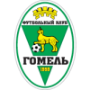 home team logo