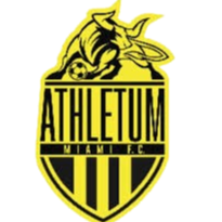 home team logo