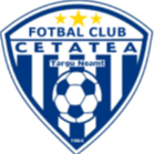 home team logo