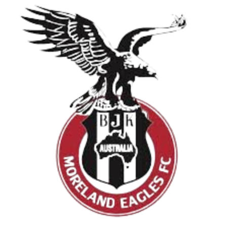home team logo