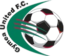 home team logo