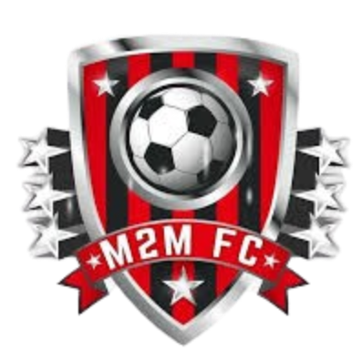 home team logo