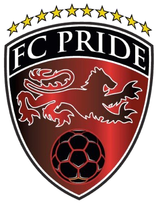 home team logo