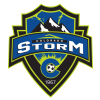 home team logo