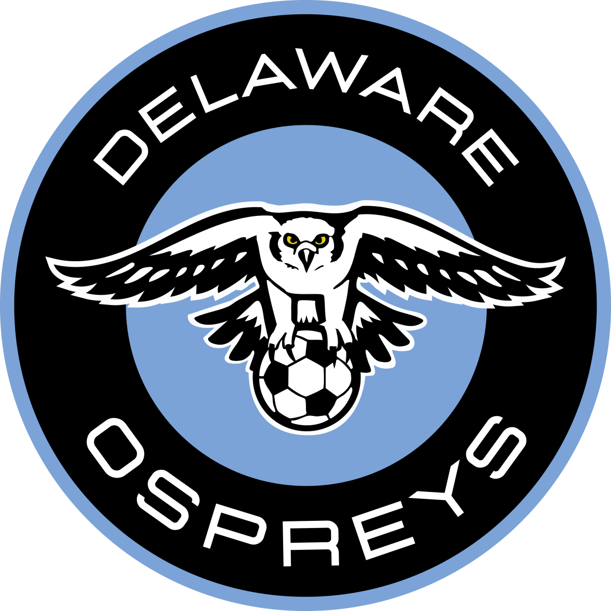 home team logo