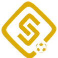 home team logo