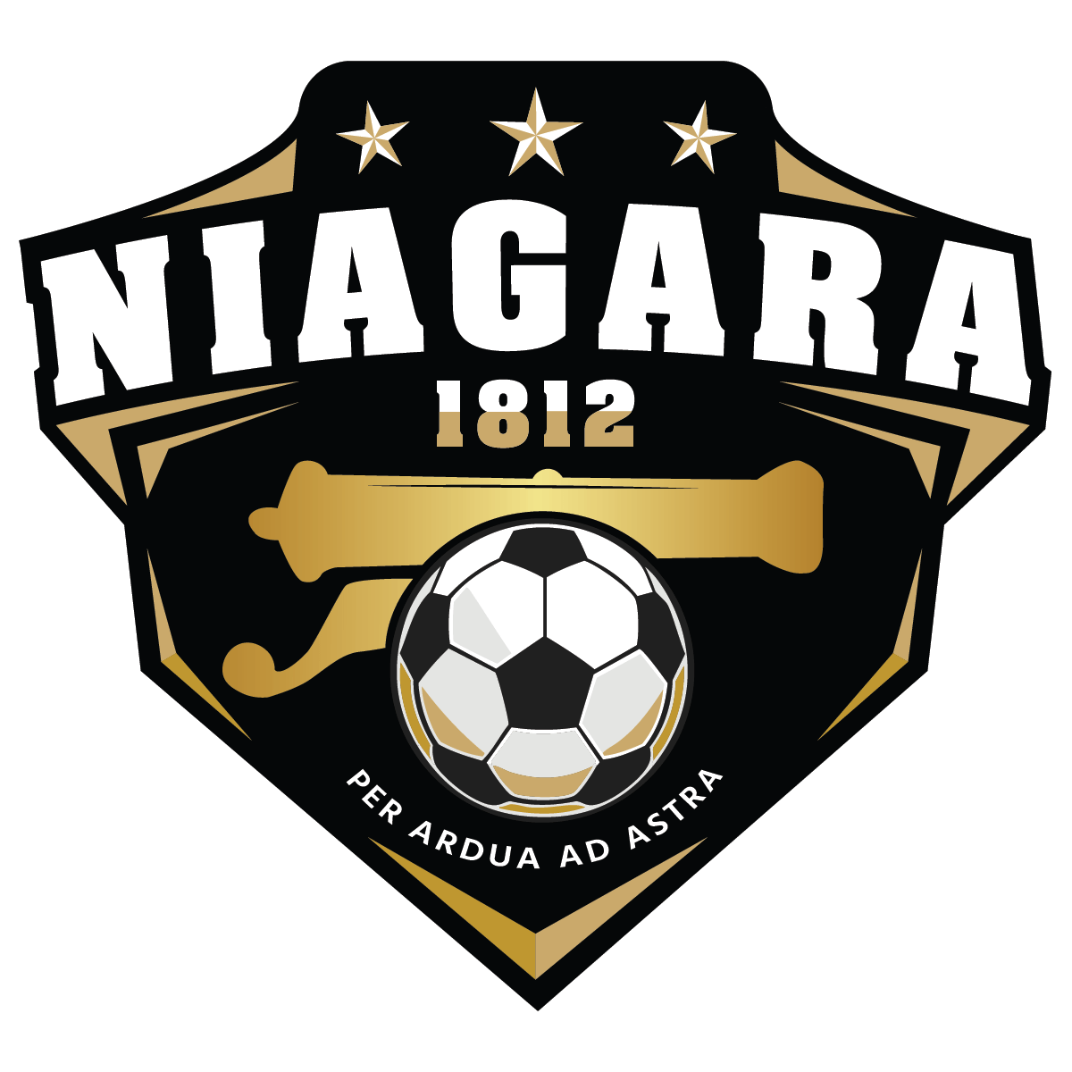 home team logo