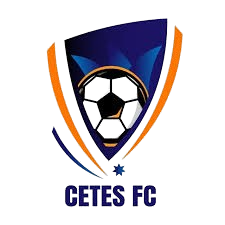 home team logo