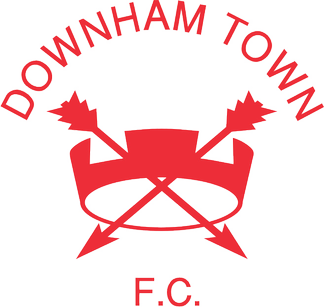 home team logo