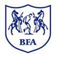 home team logo