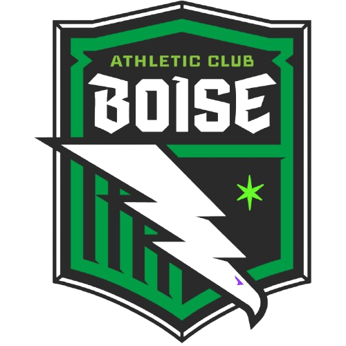 home team logo