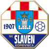 home team logo